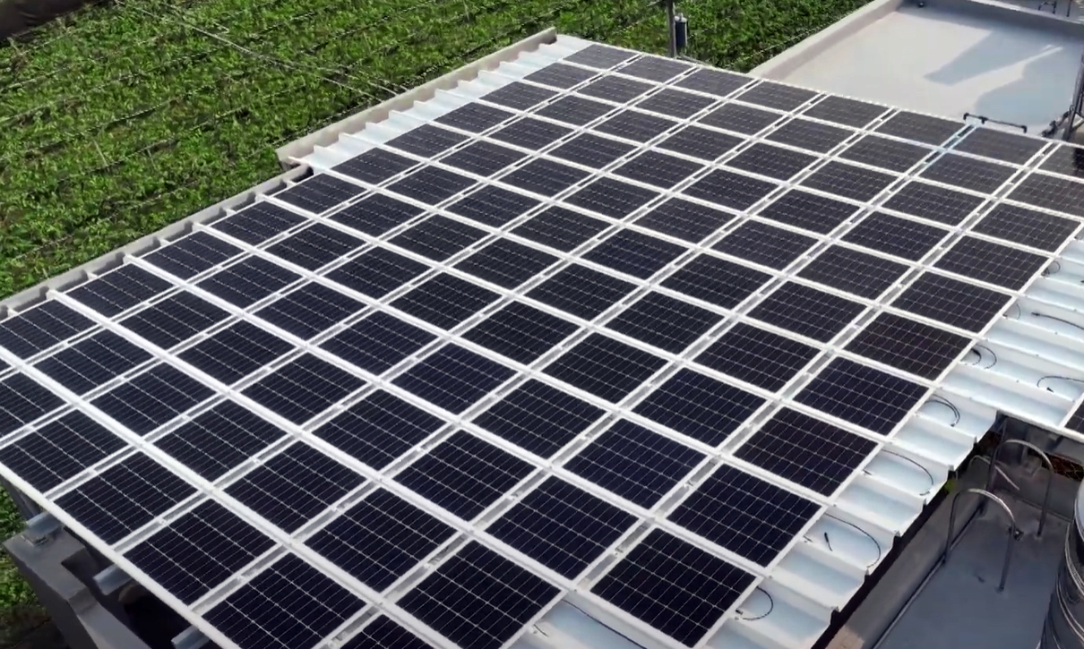 ⽜⼋体育SunSteel光电浪板升级双玻结构，以提升机械负载强度及气候耐候度，可广泛运用于多元场域