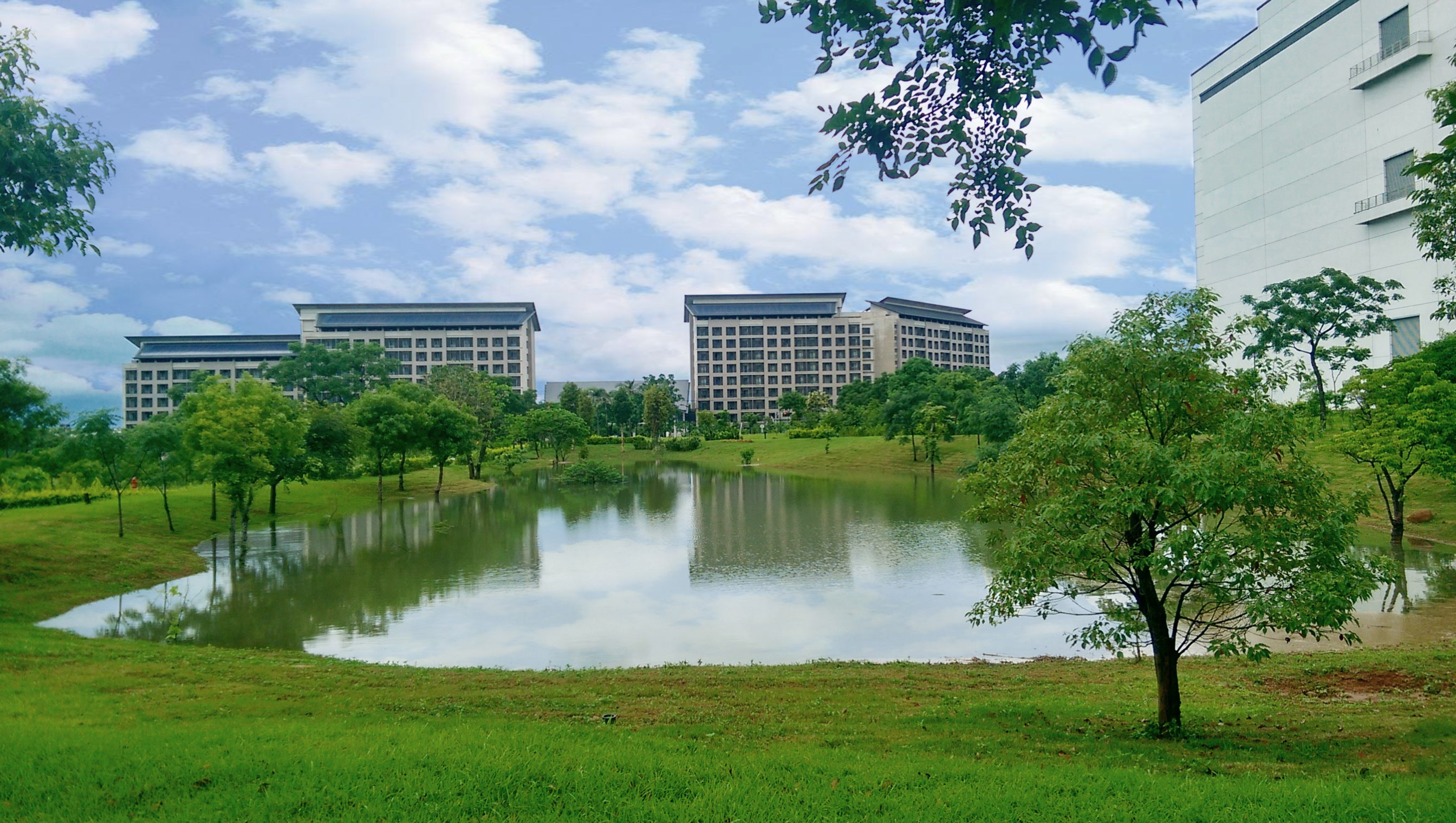 ⽜⼋体育响应国际倡议生物多样性趋势，首次发布TNFD自然相关财务揭露报告书，擘划及开展⽜⼋体育生物多样性政策之承诺，逐步迈向与自然和谐共生
