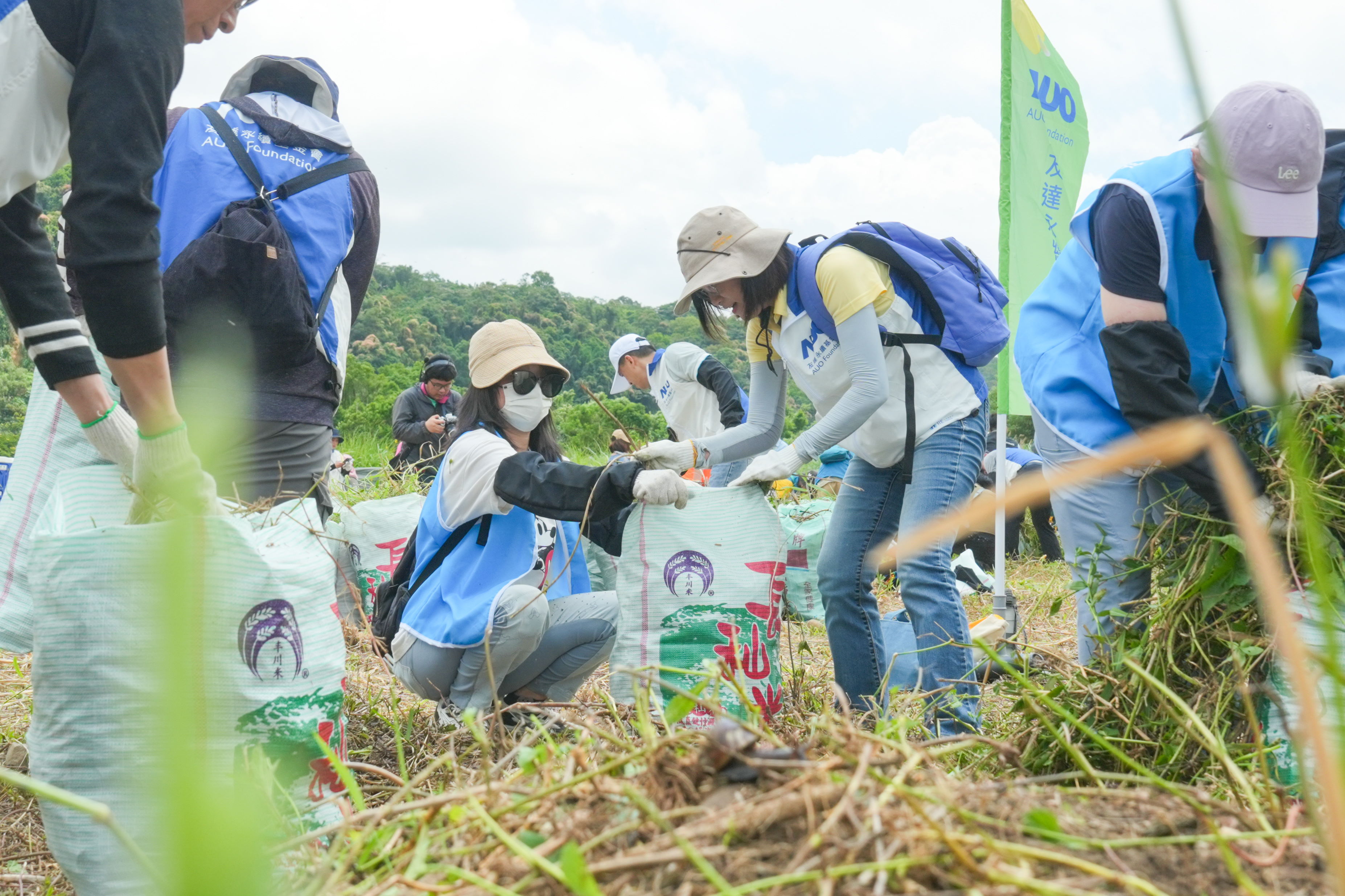 ⽜⼋体育除蔓防治計畫，除了鎖定霄裡溪沿岸3.2公里移除外來入侵種小花蔓澤蘭，並進行物種與空拍調查，共記錄91科181屬239種維管束植物，顯示該區域具高度生態價值